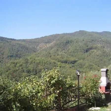 Agriturismo Podere Vicoferaldi Gospodarstwo agroturystyczne